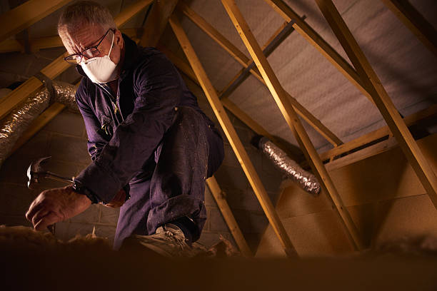 Professional Insulation Contractor in Naperville, IL